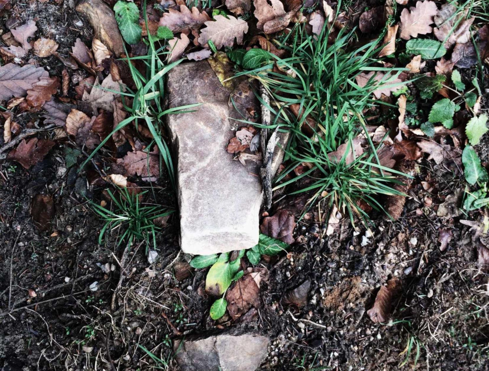 魔方云实名账号:宁阳代理注册公司