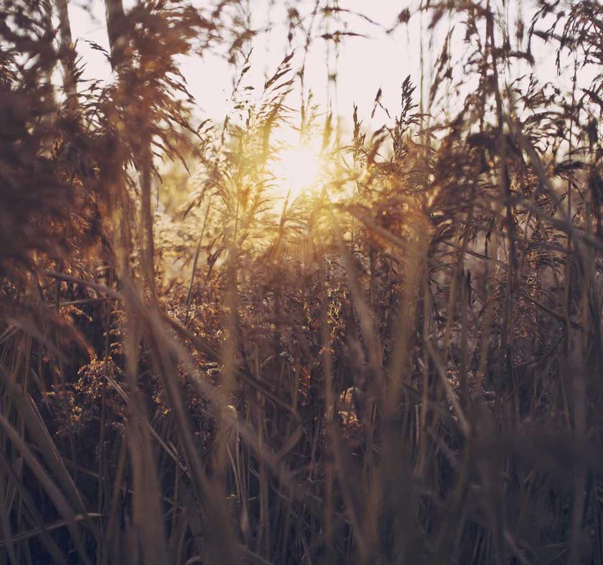 免费攻击网站|网络骇客是如何入侵计算机的?