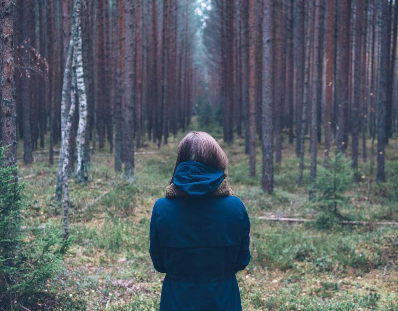 苏宁互联实名账号:诚信杯代理平台排行