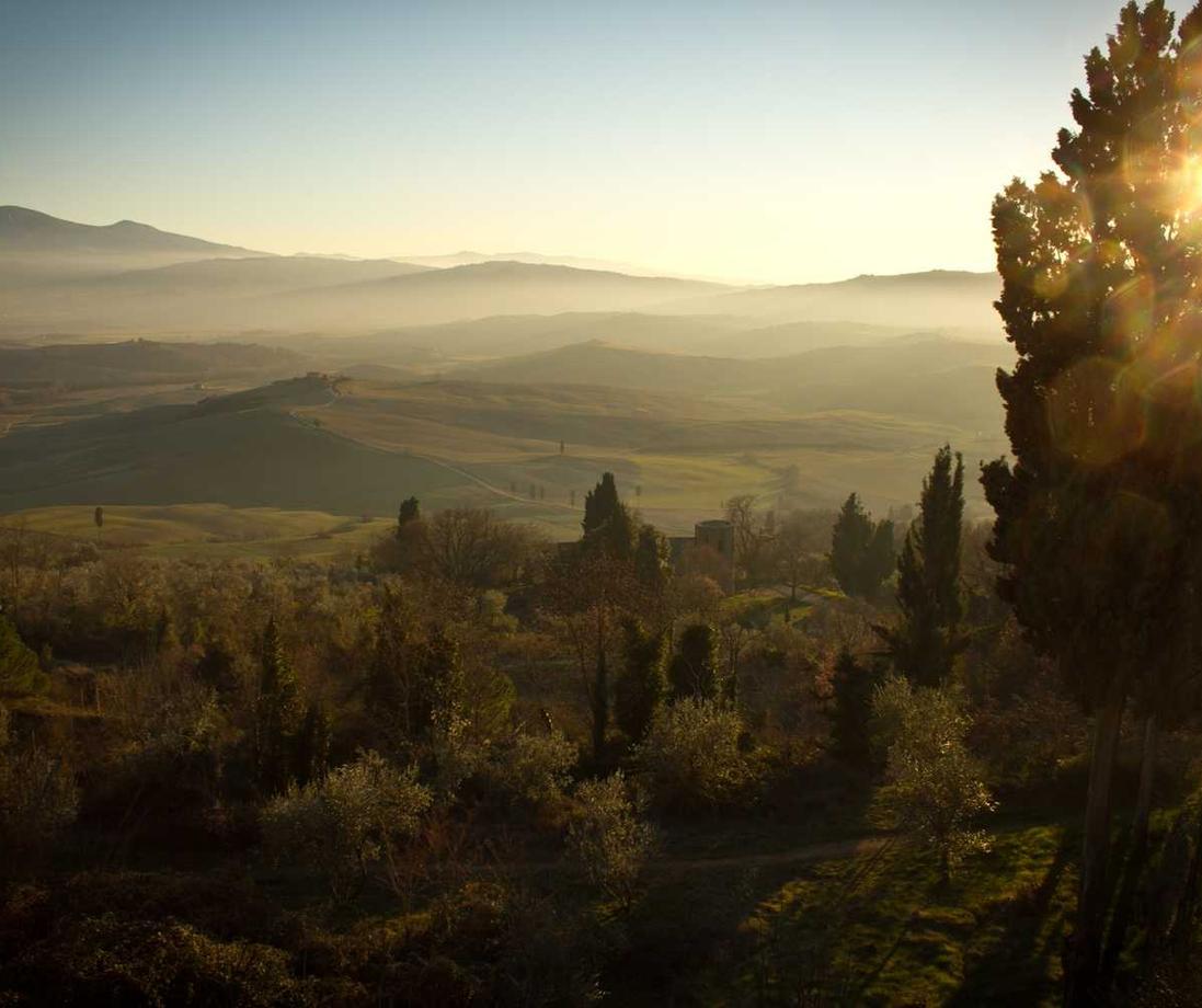 抽烟,别让“烟神经”成为你身体的主宰