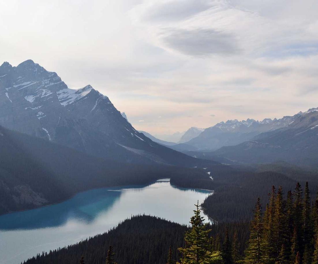 SEO优化：如何找到正确的关键字