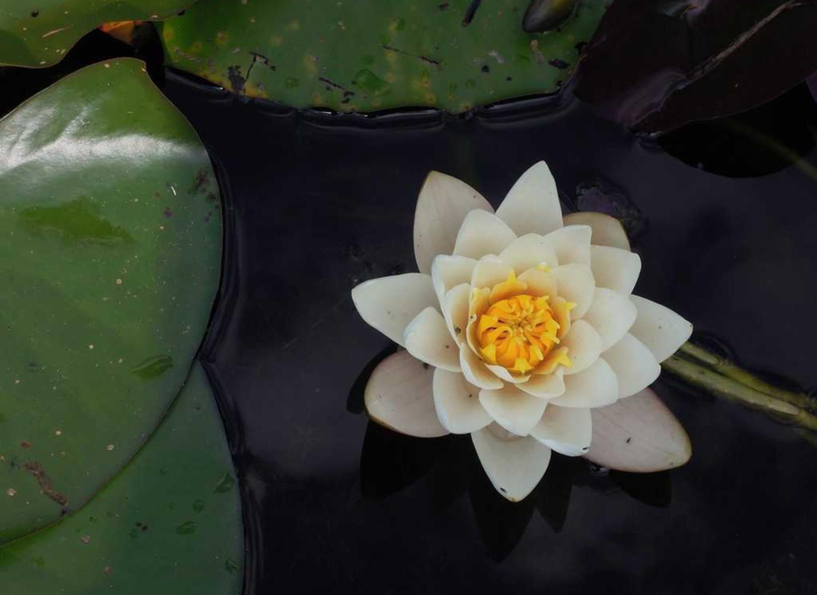 DDOS攻击器|东莞知名防腐涂料购买平台