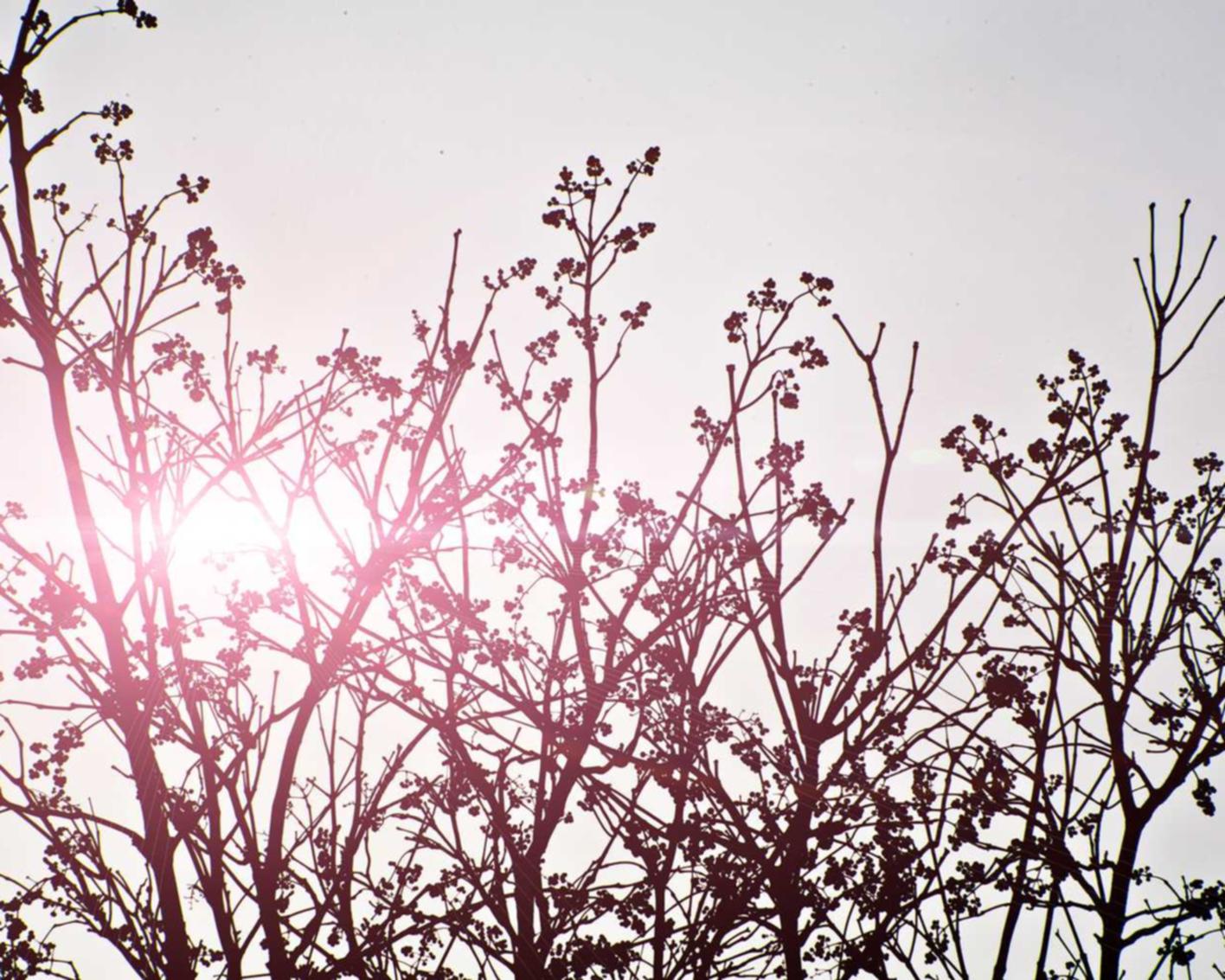 代理顾客售后平台