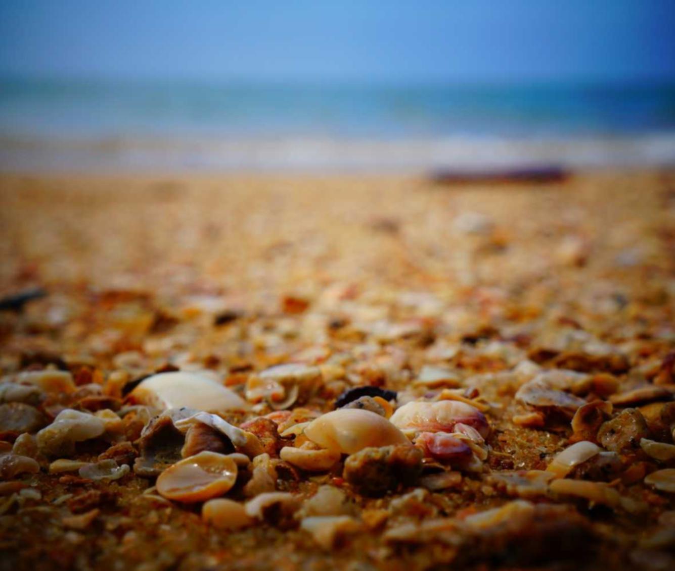 长城移动实名账号:北京振动平台批发代理