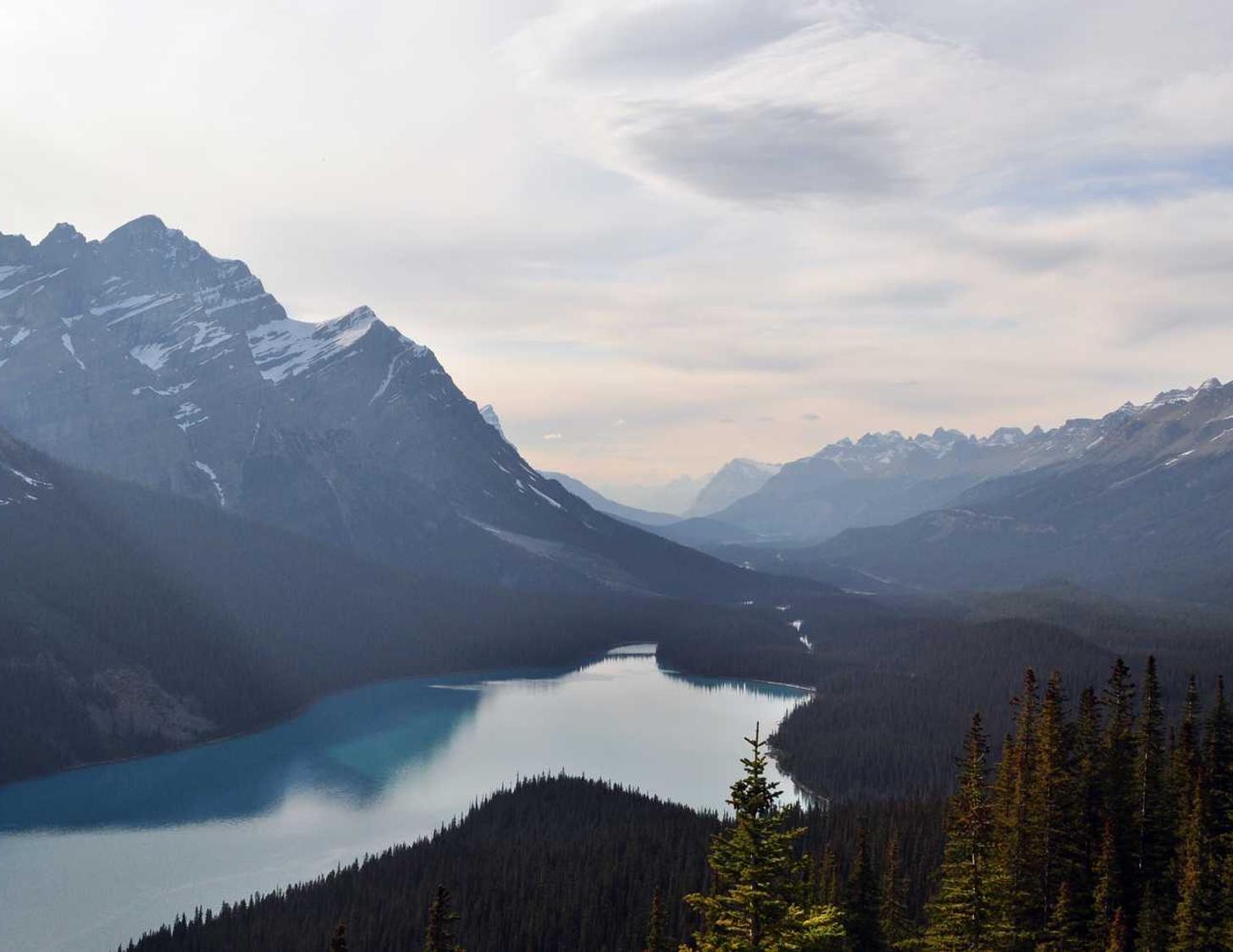 Peel百乐姜茶双爆珠(细):代理项目规划平台是骗子么