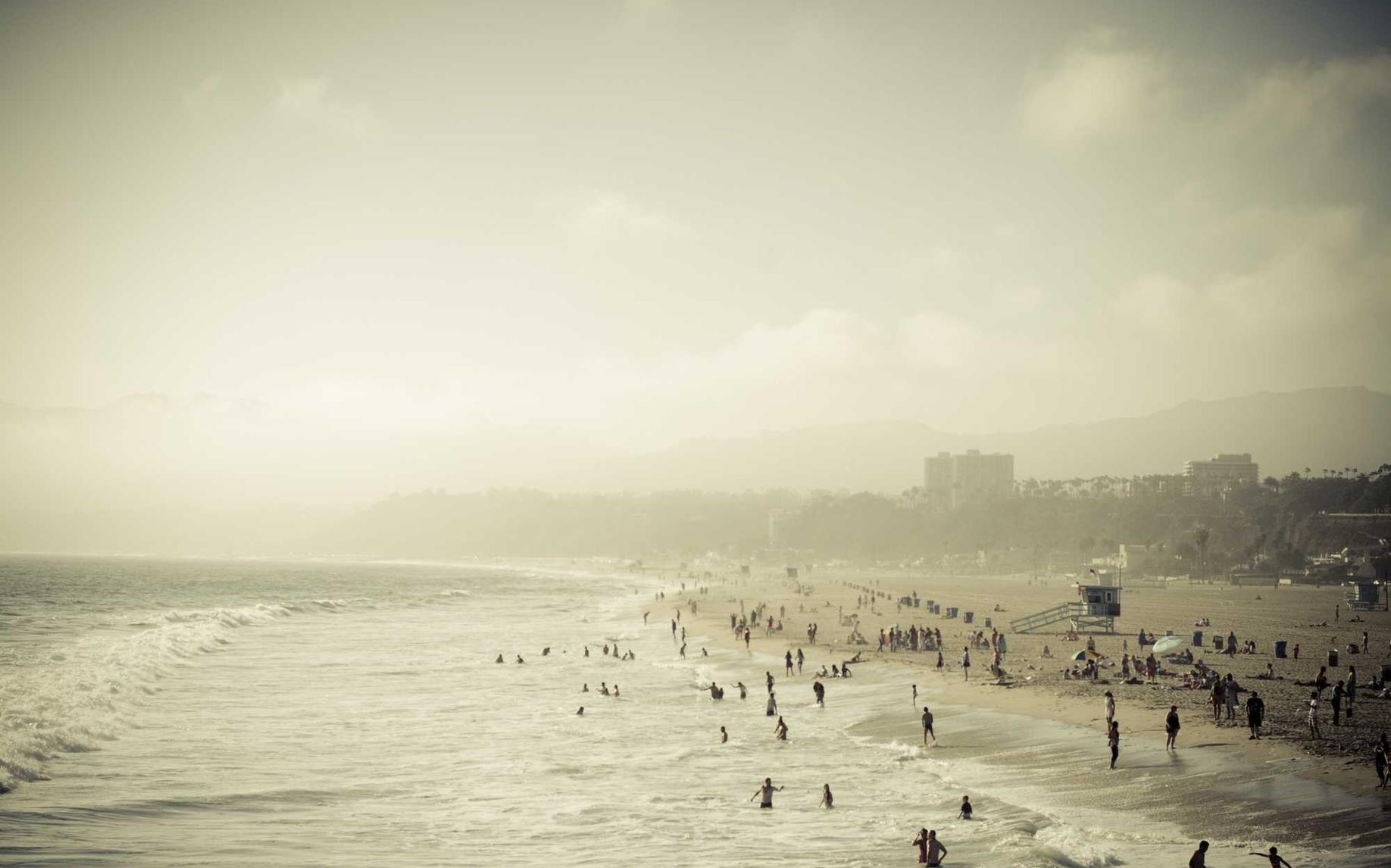 如何追踪和锁定技术支持攻击的来源？