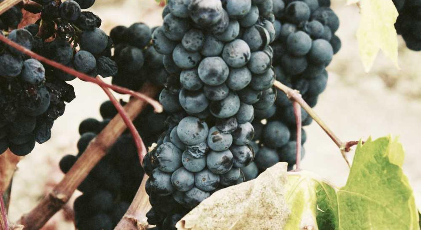 腾讯手机卡实名账号：aj哪个平台购买