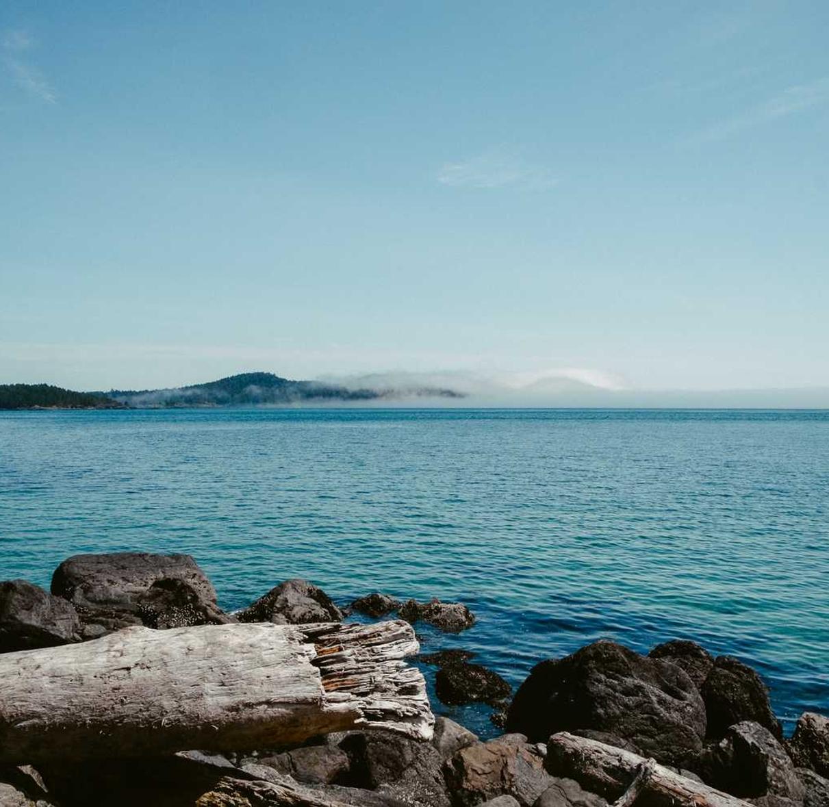 91 APP 详情下载教程