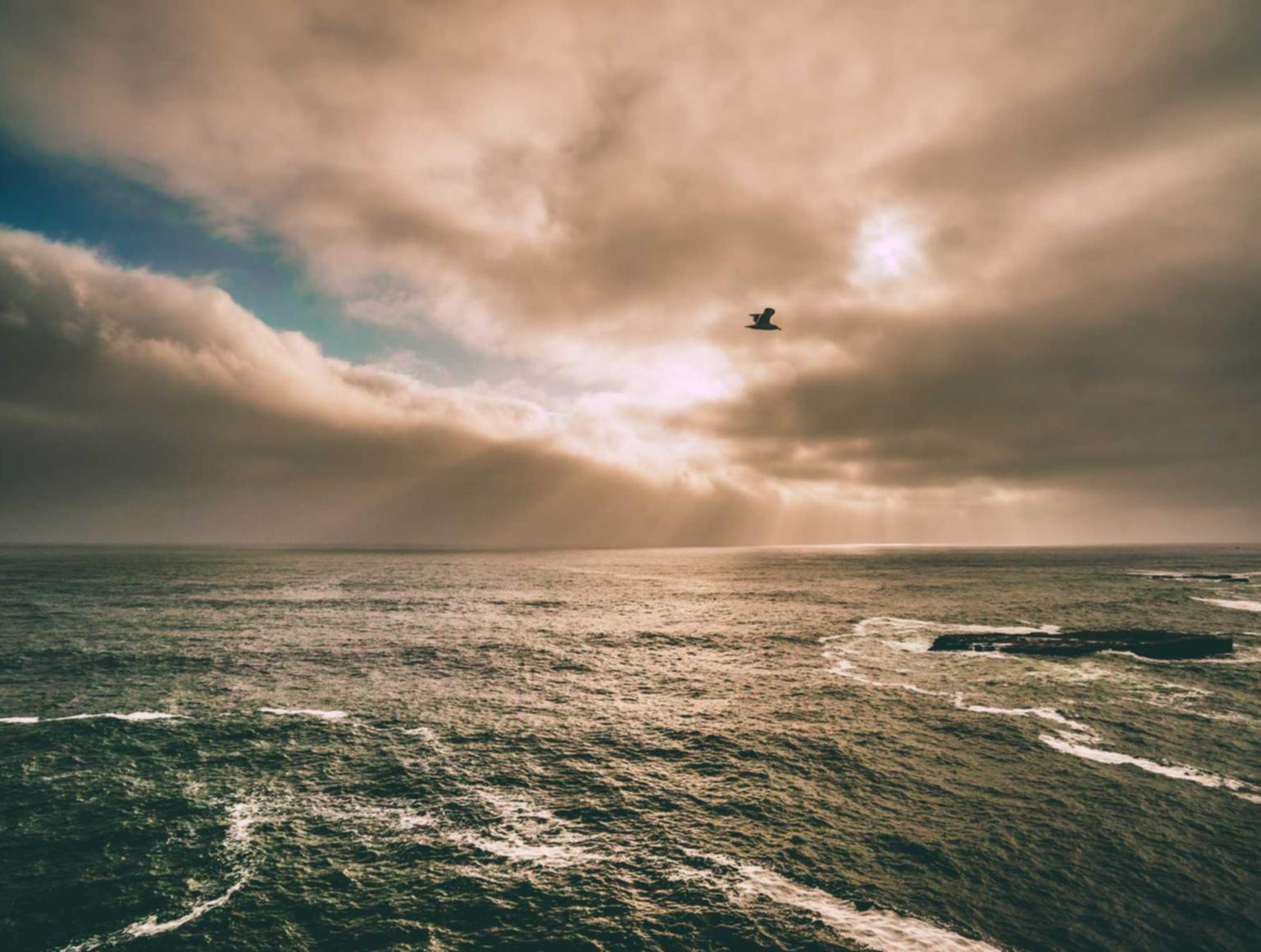 整合防作弊系统:打击技术支持程序