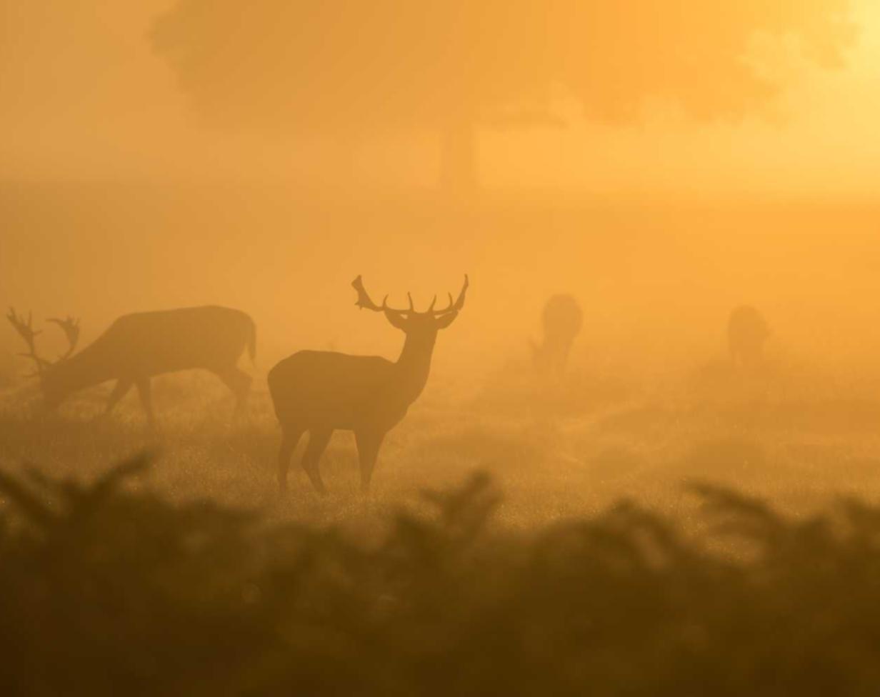 cc网页端|知道黑客是怎么想的,从而更好地保护自己