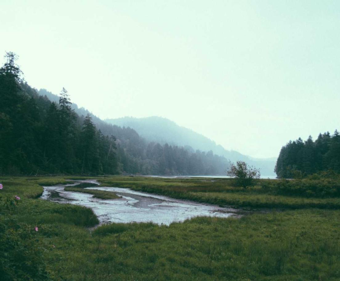 凤凰平台开户qq