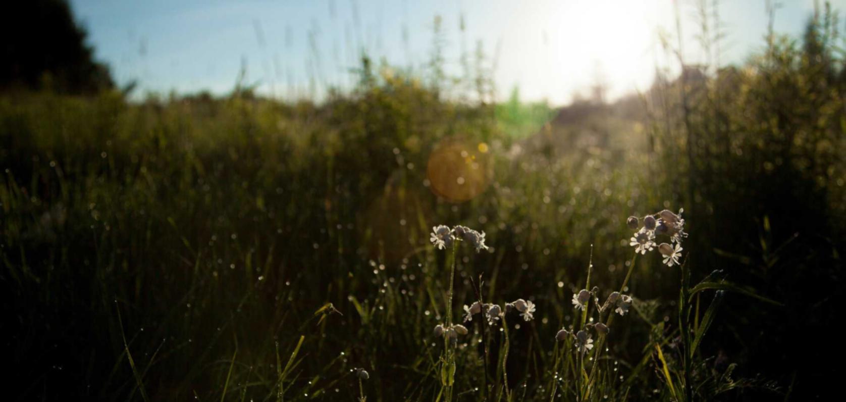 物联卡哪家好:手机网游赚钱平台代理赚钱