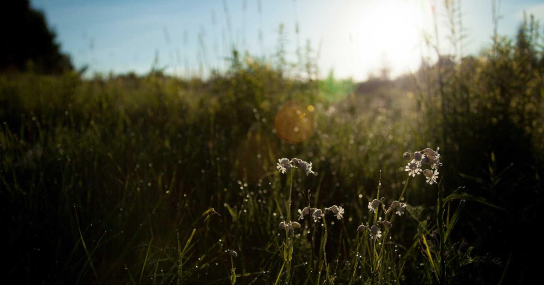 游戏技术支持辅助和游戏玩家监督的意义和价值
