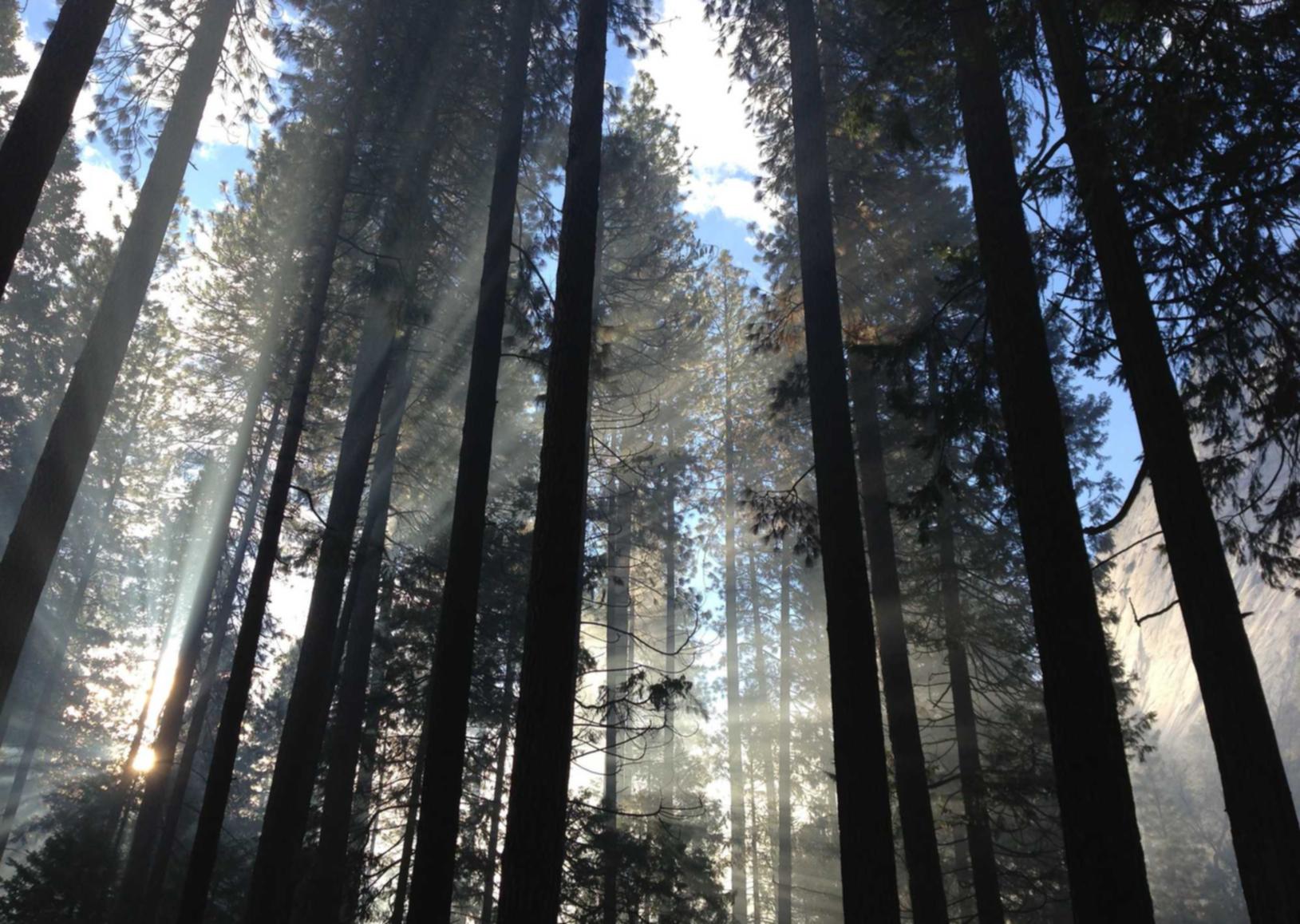 远特信时空实名账号：线上股票开户推荐什么平台