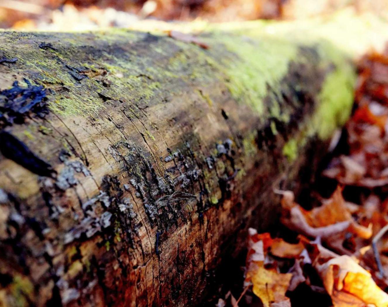 娱乐本身就是让人爽,开挂又怎么了?